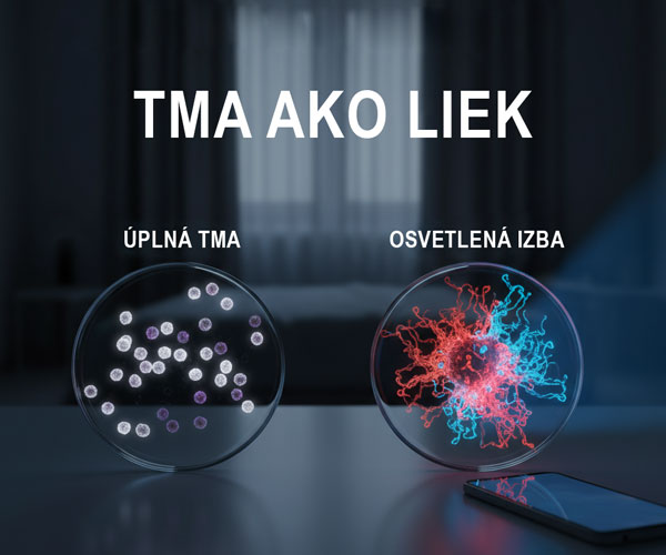 04-Melatonin-a-rakovina-tma-ako-liek-600x500